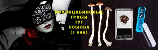 тгк Верея